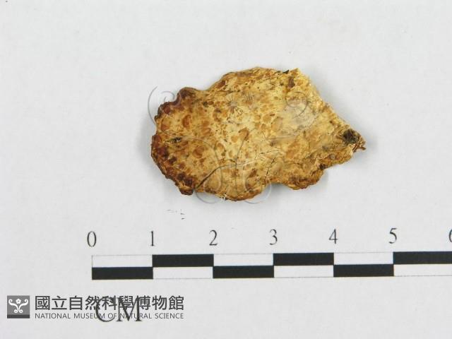 登錄號:F0005919藏品圖，第3張
