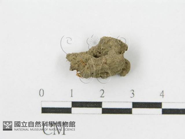登錄號:F0012619藏品圖，第3張