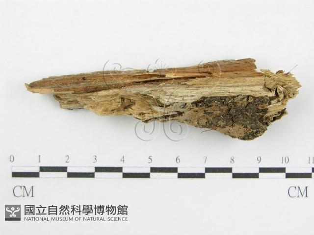 登錄號:F0002419藏品圖，第3張