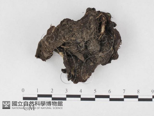 登錄號:F0019719藏品圖，第3張