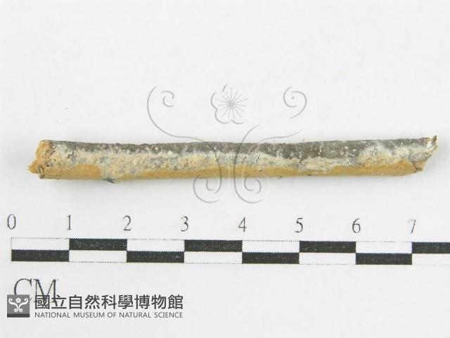 登錄號:F0002519藏品圖，第3張