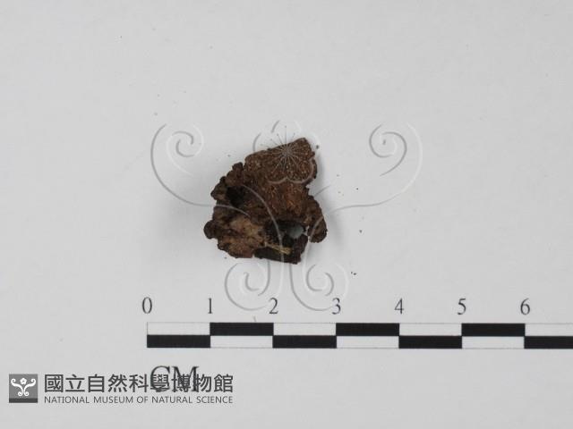 登錄號:F0022019藏品圖，第3張