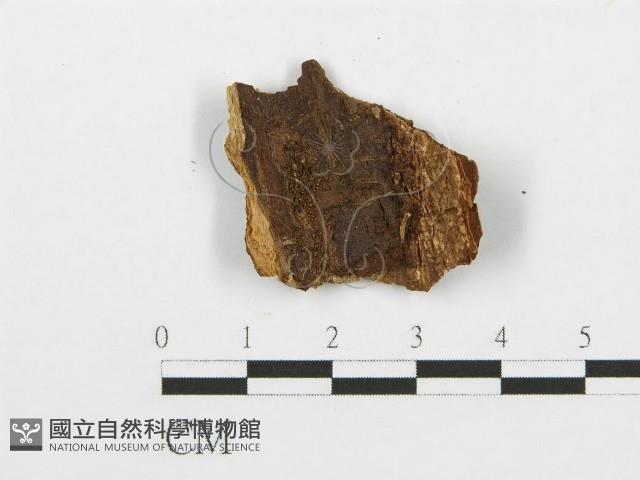 登錄號:F0014859藏品圖，第3張