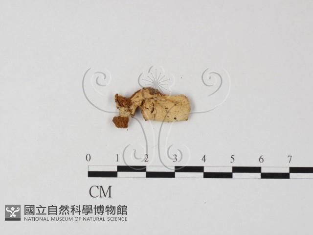 登錄號:F0025859藏品圖，第3張