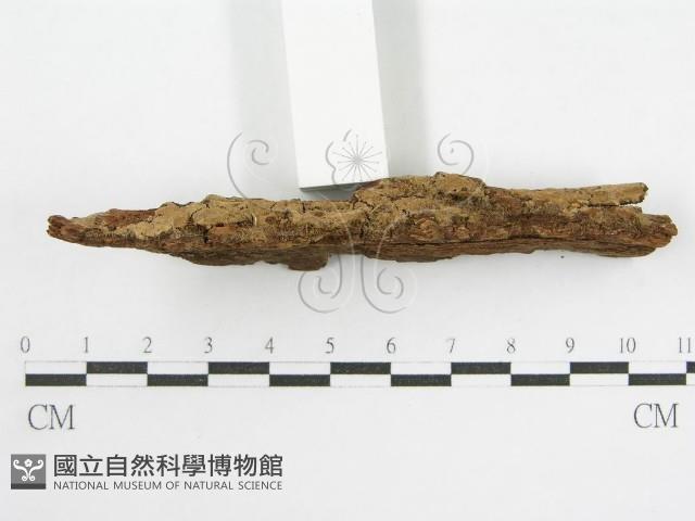 登錄號:F0000959藏品圖，第3張