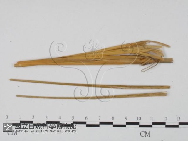 登錄號:F0011959藏品圖，第3張