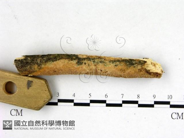 登錄號:F0022659藏品圖，第3張