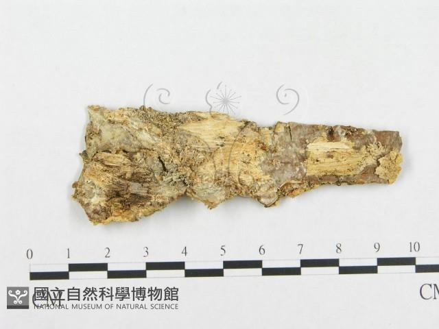 登錄號:F0017459藏品圖，第1張