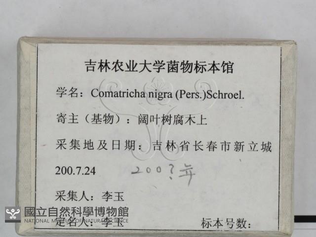 登錄號:F0023459藏品圖，第3張