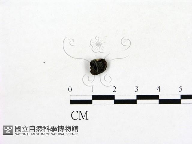 登錄號:F0003459藏品圖，第3張