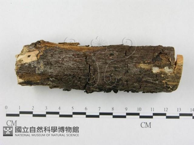 登錄號:F0018759藏品圖，第3張