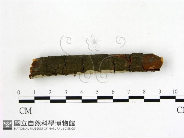 登錄號:F0021759藏品圖，第3張