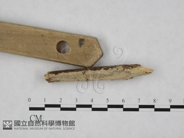 登錄號:F0024759藏品圖，第3張