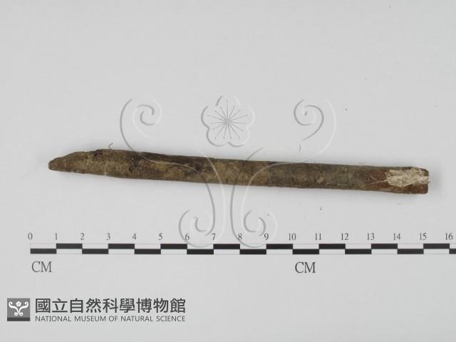 登錄號:F0000559藏品圖，第3張