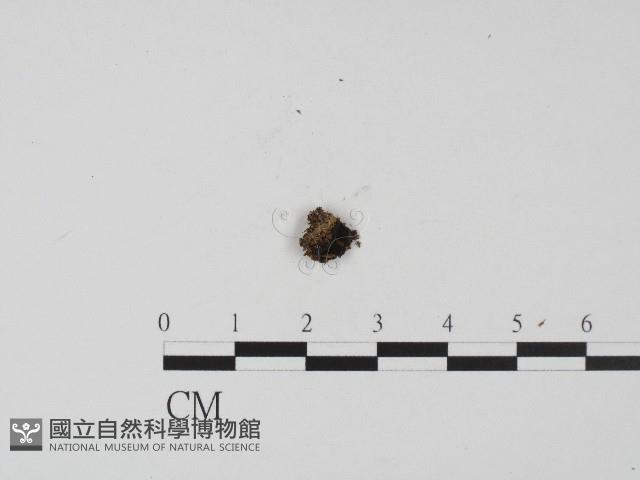 登錄號:F0004559藏品圖，第3張