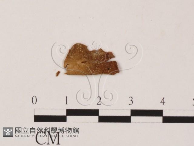登錄號:F0019559藏品圖，第3張