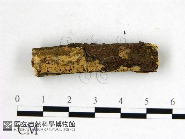 登錄號:F0022159藏品圖，第3張