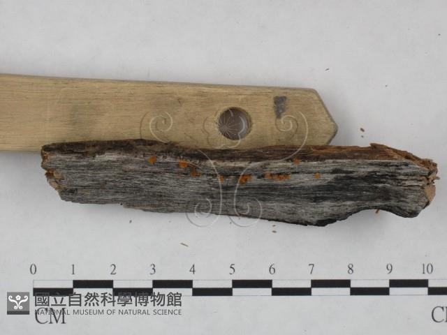 登錄號:F0025059藏品圖，第3張