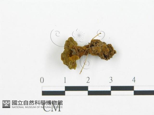 登錄號:F0015059藏品圖，第3張