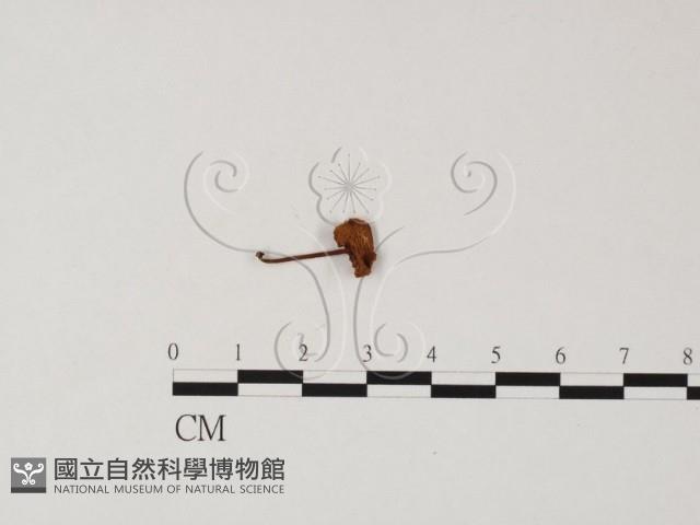 登錄號:F0025849藏品圖，第3張