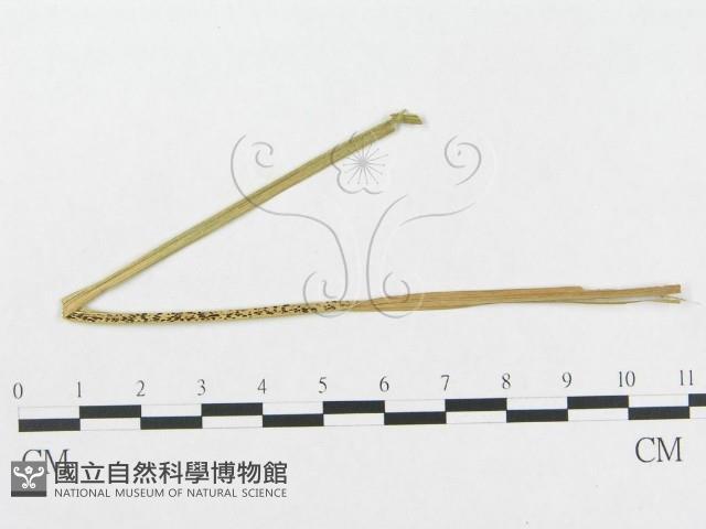登錄號:F0018949藏品圖，第1張