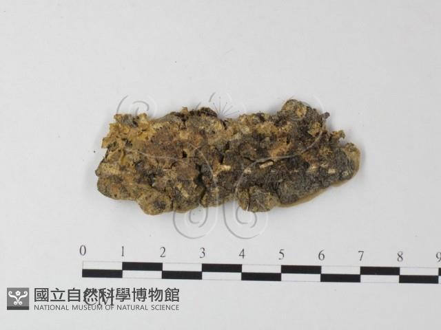 登錄號:F0023949藏品圖，第3張