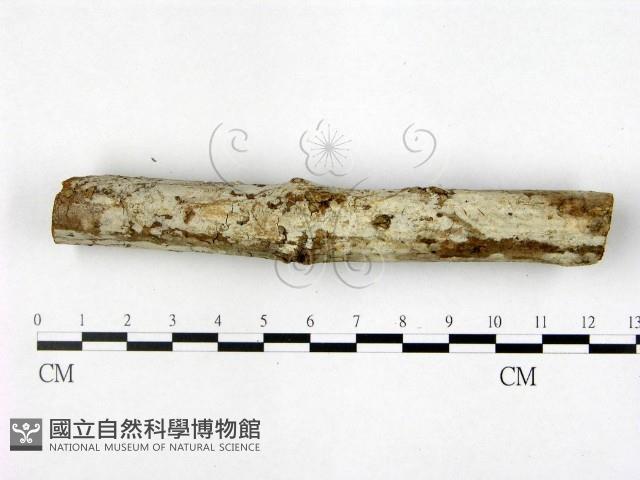 登錄號:F0022449藏品圖，第3張