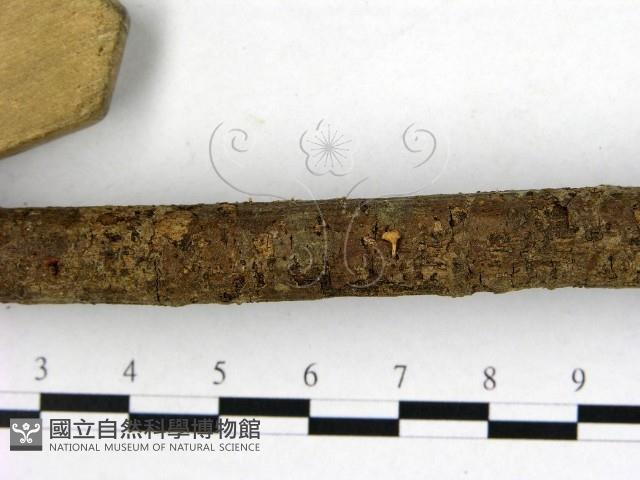 登錄號:F0003449藏品圖，第3張