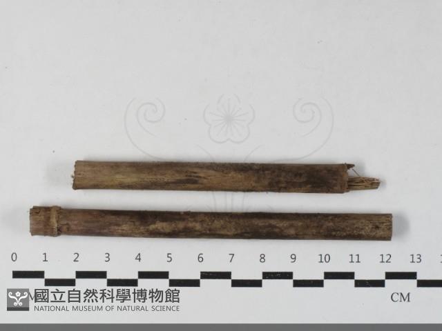 登錄號:F0033449藏品圖，第3張