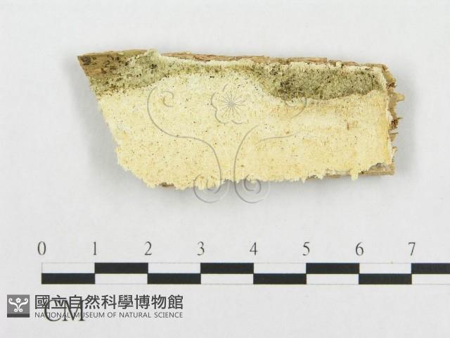 登錄號:F0015749藏品圖，第1張