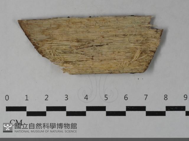 登錄號:F0033549藏品圖，第3張