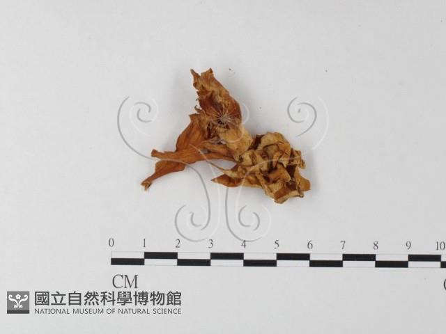 登錄號:F0008149藏品圖，第3張