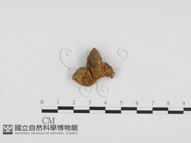 登錄號:F0024149藏品圖，第3張