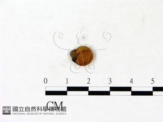 登錄號:F0023149藏品圖，第3張