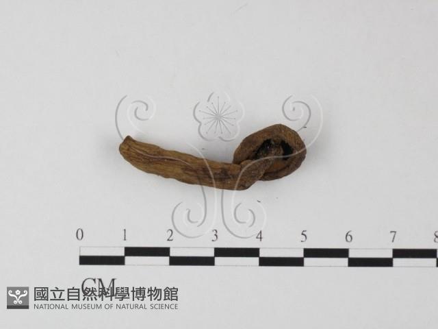 登錄號:F0011049藏品圖，第3張