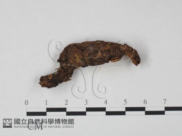 登錄號:F0022049藏品圖，第3張