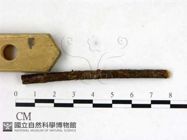 登錄號:F0009049藏品圖，第3張