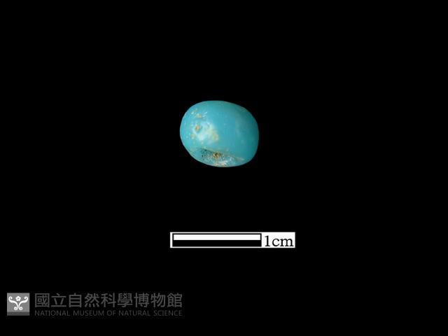 玻璃珠藏品圖，第1張