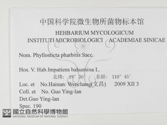 登錄號:F0026349藏品圖，第4張