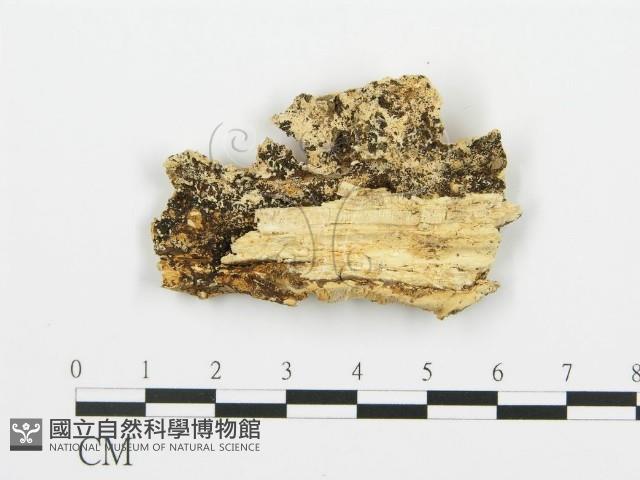 登錄號:F0006349藏品圖，第3張