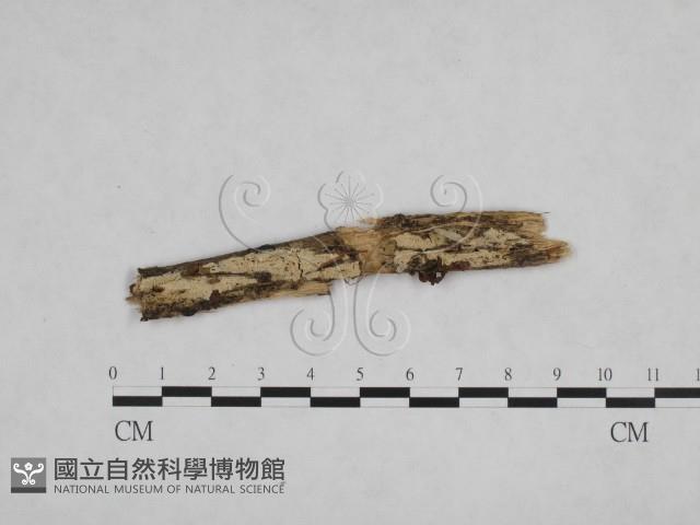 Accession Number:F0024839 Collection Image, Figure 3, Total 3 Figures