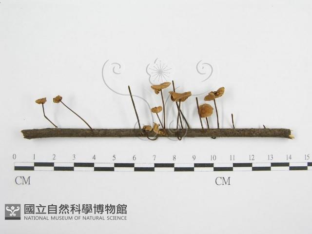 登錄號:F0004839藏品圖，第3張