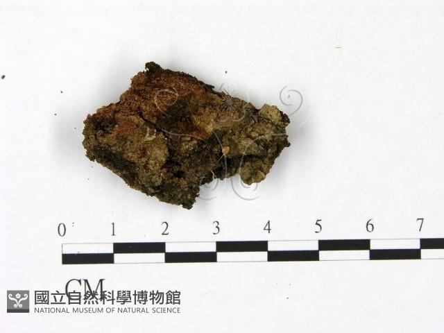 登錄號:F0022939藏品圖，第3張