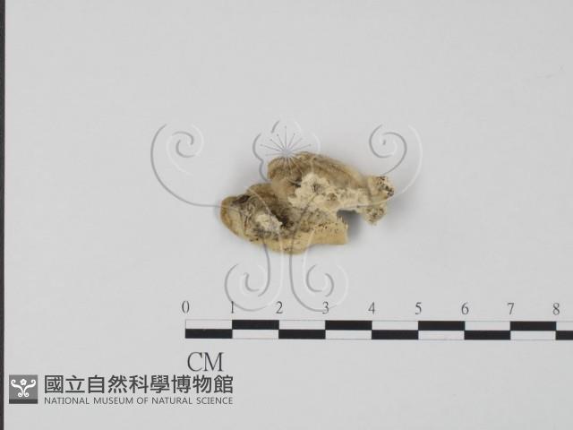 登錄號:F0006639藏品圖，第3張