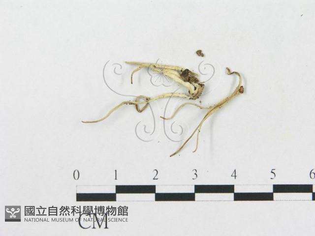 登錄號:F0004439藏品圖，第3張