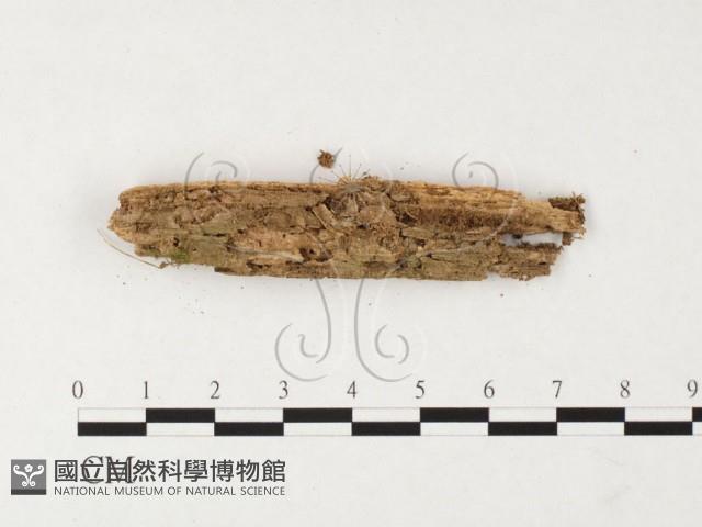 登錄號:F0026739藏品圖，第3張