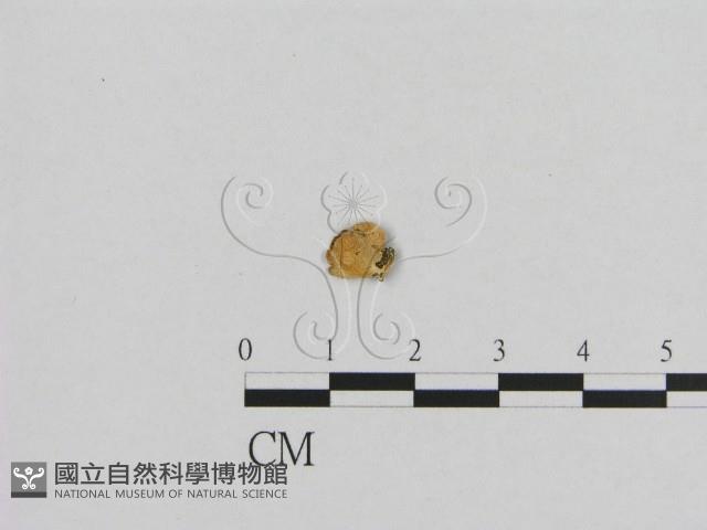 登錄號:F0001739藏品圖，第1張