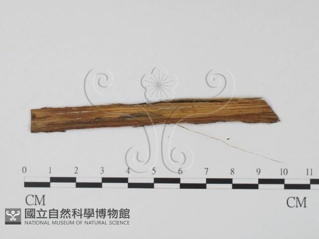 登錄號:F0011739藏品圖，第3張