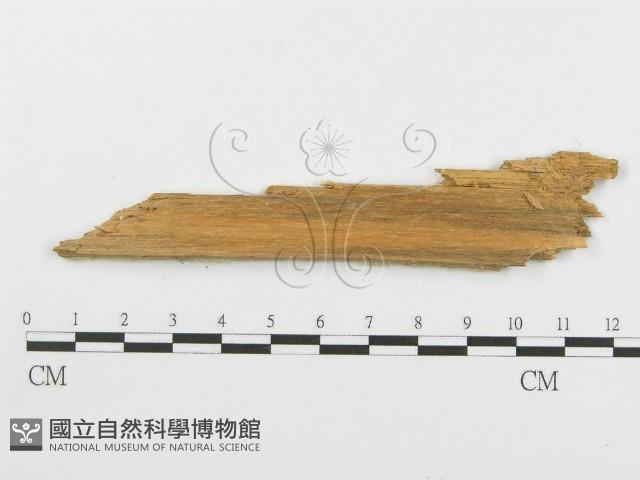 登錄號:F0005739藏品圖，第3張