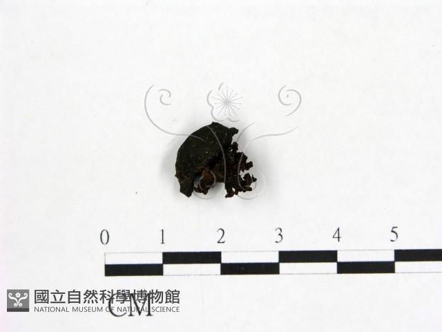登錄號:F0019739藏品圖，第3張